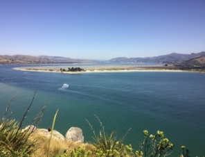 View from Taiaroa Head back towards Dunedin